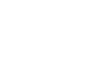 Marka Studio Web Security Icon